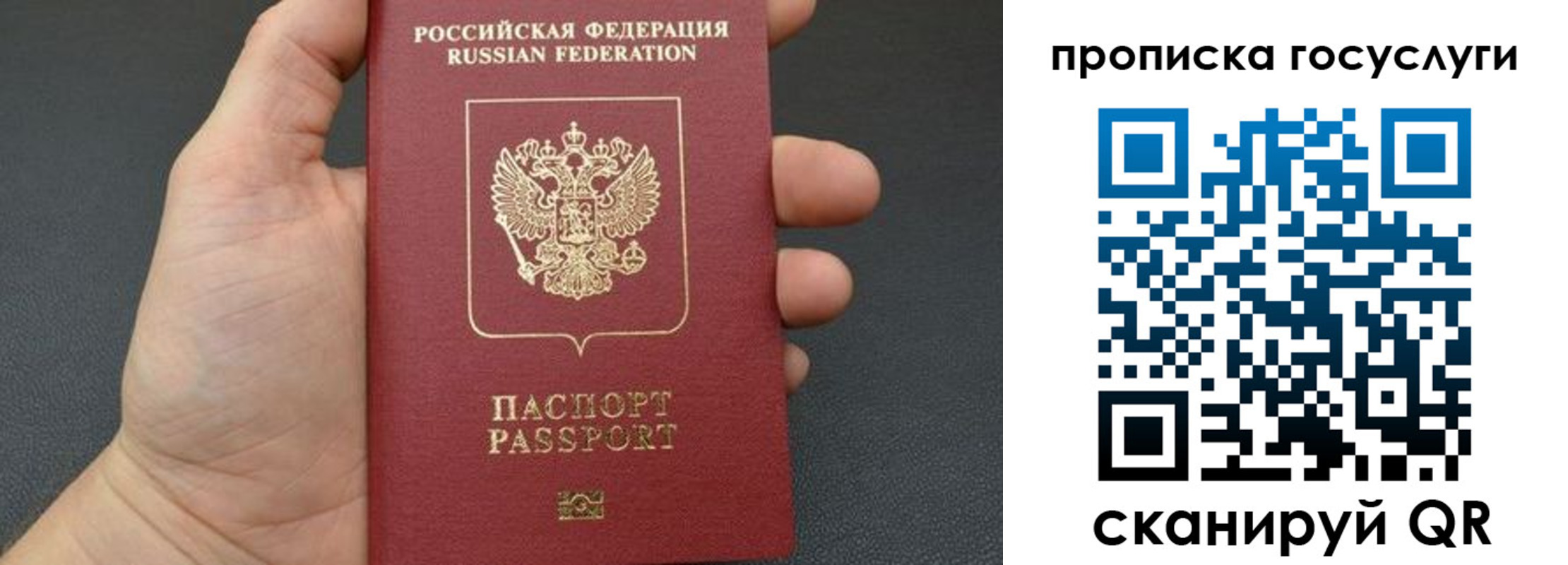 купить прописку в Нелидово